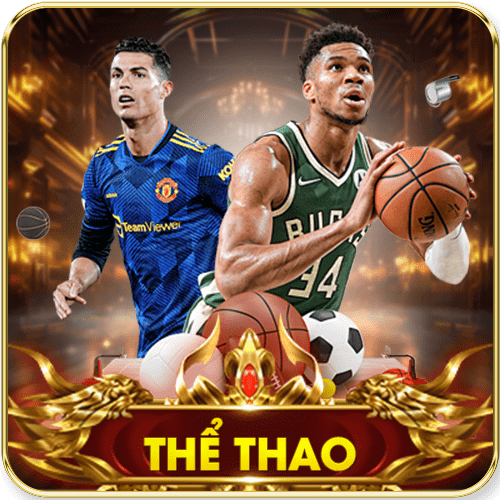 thể thao 79King